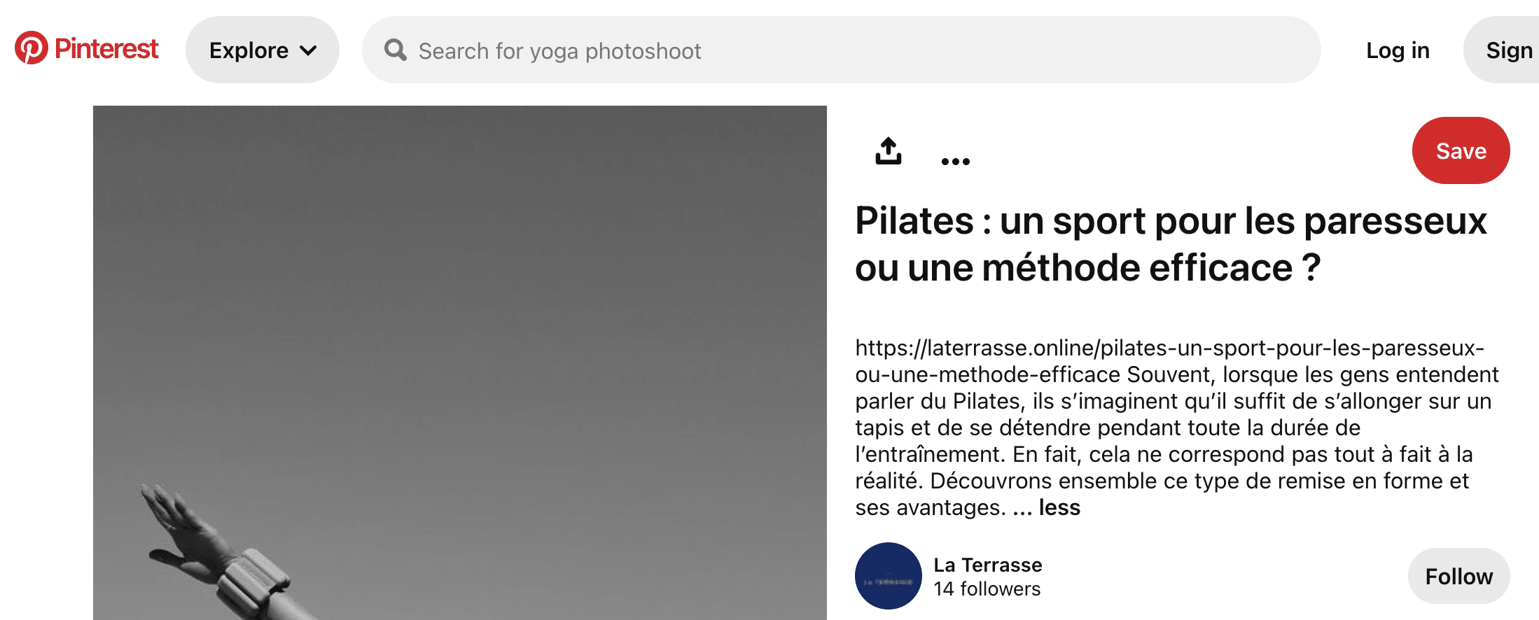 Figure 10 - A Pinterest post referencing a Doppelgänger website